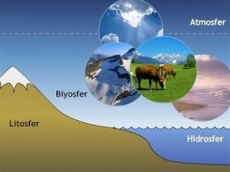 biyosfer nedir